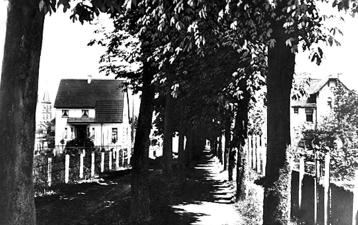 Titel_schottbrink
