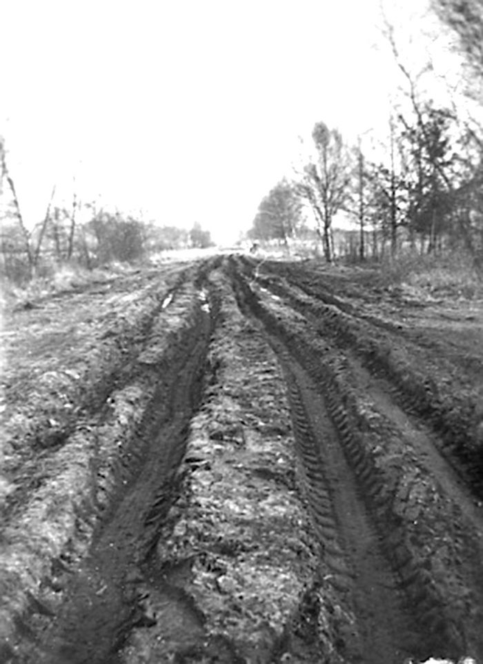 Bild 1427 - Ratsherr-Schlikker-Str. - im Schüttorfer Feld um 1950