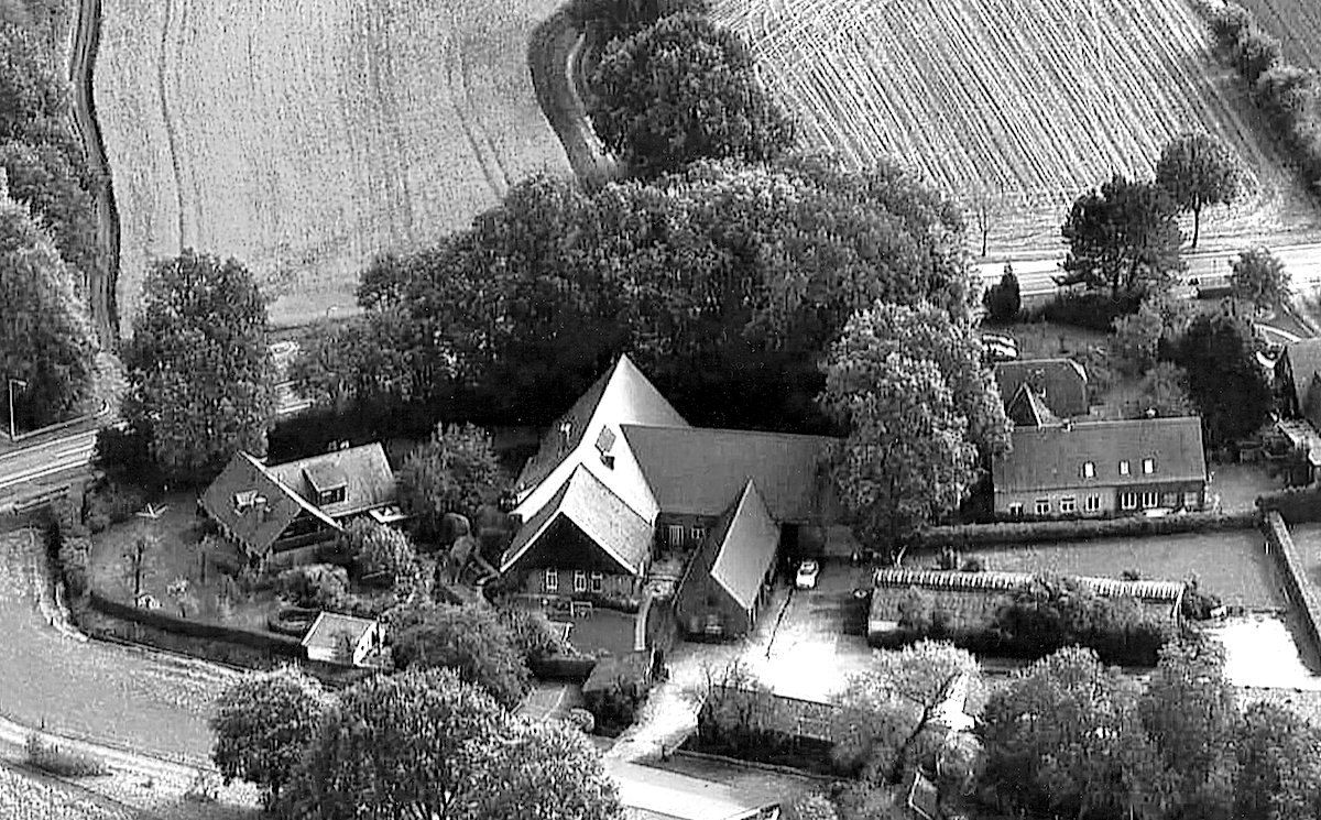 Hummert_luft